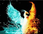 Fire And Ice Phoenix Paint By Numbers