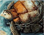 Sea Turtle in Water Paint By Numbers