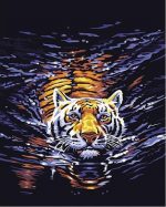 Tiger In Water Paint By Numbers