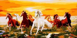 Horses Herd Paint By Numbers