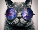 Cat With Galaxy Glasses Paint By Numbers