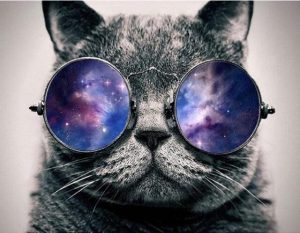 Cat With Galaxy Glasses Paint By Numbers