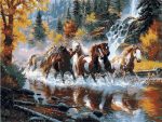 Horses In River Paint By Numbers