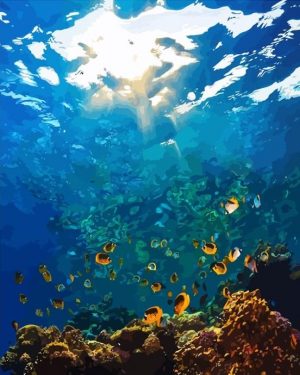 Sea World Paint By Numbers