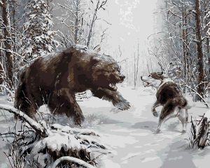 Wolf And Bear Paint By Numbers