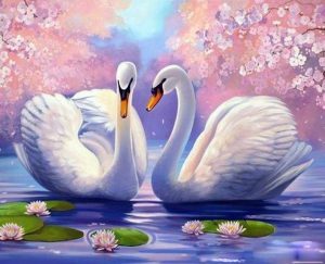 Swans On Lake Paint By Numbers