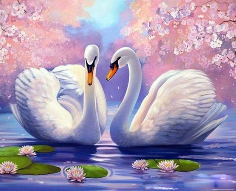 Swans On Lake Paint By Numbers