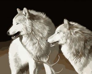 White Wolves Paint By Numbers