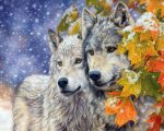 Wolf Couple In Snow Paint By Numbers