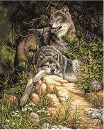 Grey Wolves Paint By Numbers