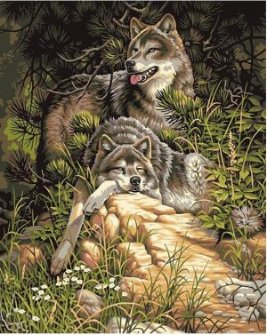 Grey Wolves Paint By Numbers