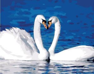 Swans On Lake Paint By Numbers