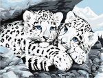White Tiger Cubs Paint By Numbers