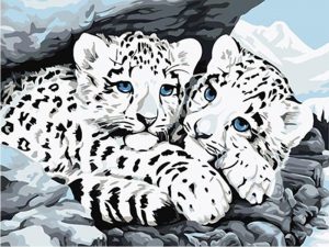 White Tiger Cubs Paint By Numbers