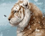 Snow Tiger Paint By Numbers