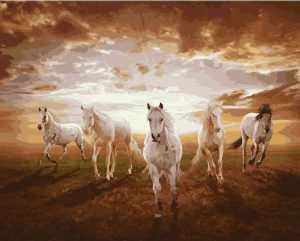 White Horses Herd Paint By Numbers