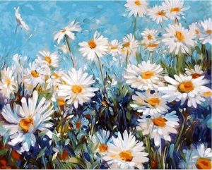 Daisies Field Paint By Numbers