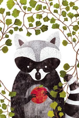 Raccoon And Apple Paint By Numbers