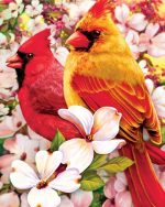 Cardinal Birds And Flowers Paint By Numbers