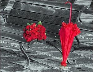 Red Flowers Umbrella paint by numbers