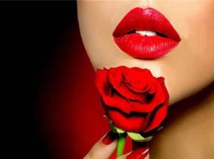 Red Rose Lips paint by numbers