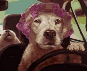 Rolling Dog Animals Paint By Numbers