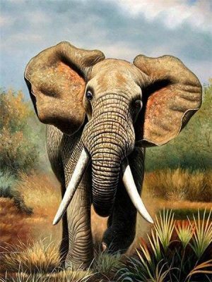 Wild Elephant Animal Paint By Numbers