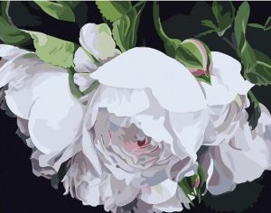 White Blossoms Paint By Numbers