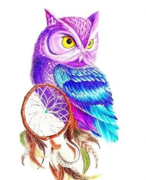 Owl Dream Catcher Paint By Numbers