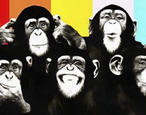 Funny Monkey Paint By Numbers