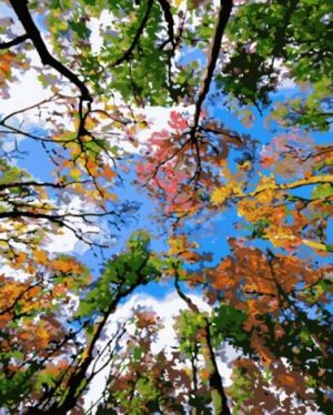 The Sky of Trees Landscape Paint By Numbers