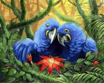 Blue Parrots Paint By Numbers