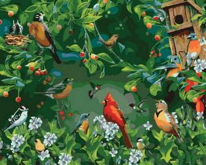 Spring Garden Birds Paint By Numbers