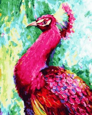 Pink Peacock Paint By Numbers