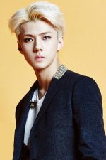 Sehun People Paint By Numbers