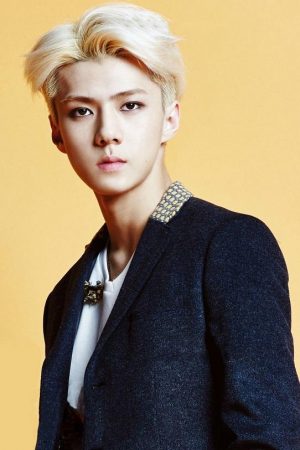 Sehun People Paint By Numbers