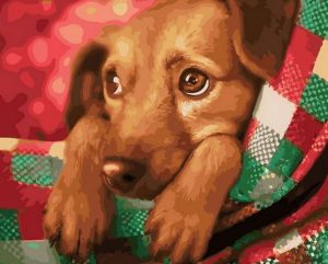 Christmas Dog Paint By Numbers