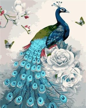 Peacock And Roses Paint By Numbers