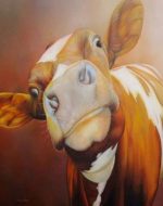 Brown And White Cow Paint By Numbers