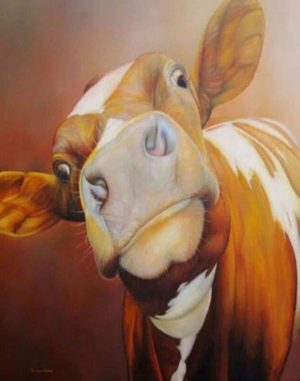 Brown And White Cow Paint By Numbers