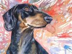 Splatter Dachshund Dog Paint By Numbers