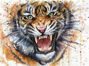 Splatter Tiger Paint By Numbers