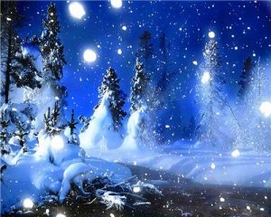 Snowy Christmas Night Landscape Paint By Numbers