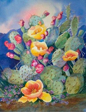 Succulents Cactus Plants Paint By Numbers