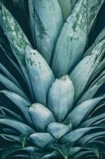 Pineapple Crown Paint By Numbers