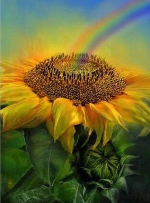 Sunflower And Rainbow Paint By Numbers