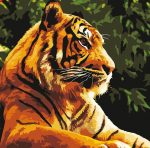 Wild Tiger Paint By Numbers