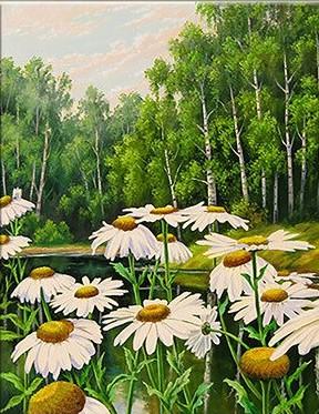 Daisies Flowers Paint By Numbers