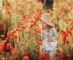 Little Girl in Poppy Field Paint By Numbers