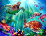 Tropical Sea Turtles Paint By Numbers